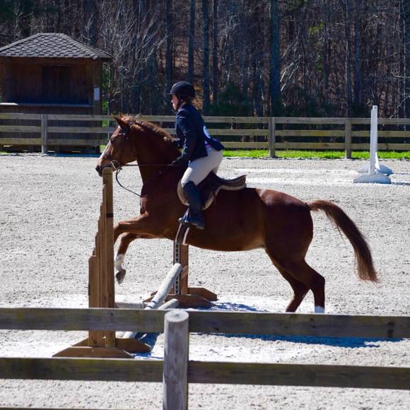 Meet your Posher, Mary - Picture 1 of 1